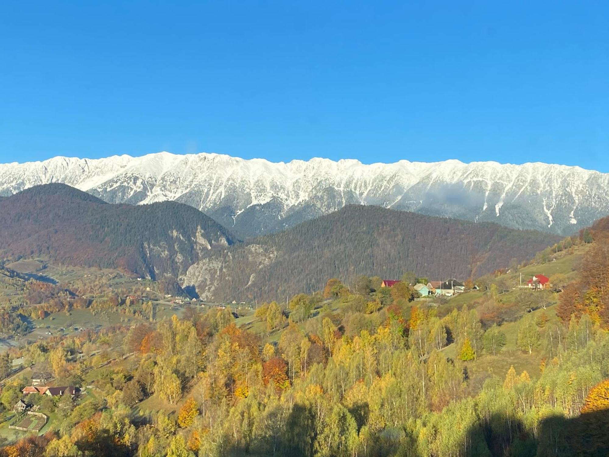 Magura Little Chalet Екстериор снимка